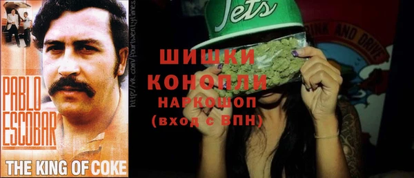 стаф Вязники