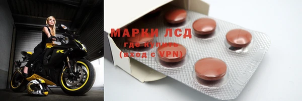 спиды Горняк