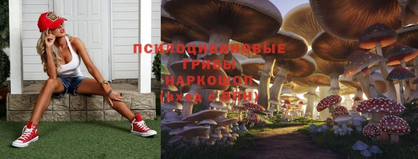 a pvp Вяземский