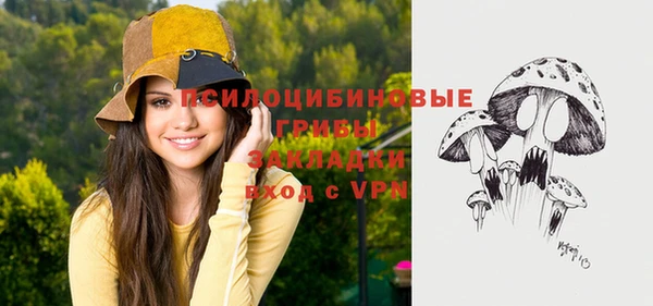 стаф Вязники