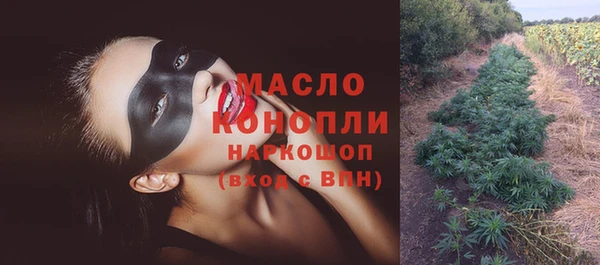 спиды Горняк