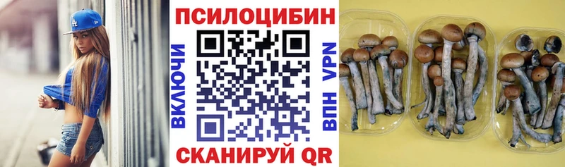 Галлюциногенные грибы мухоморы ссылка на мегу сайт Заполярный